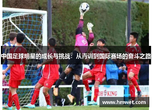 中国足球明星的成长与挑战：从青训到国际赛场的奋斗之路