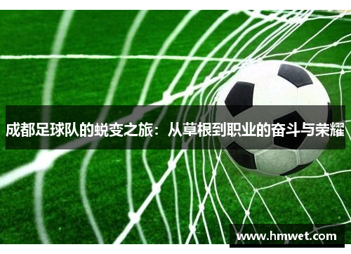 成都足球队的蜕变之旅：从草根到职业的奋斗与荣耀
