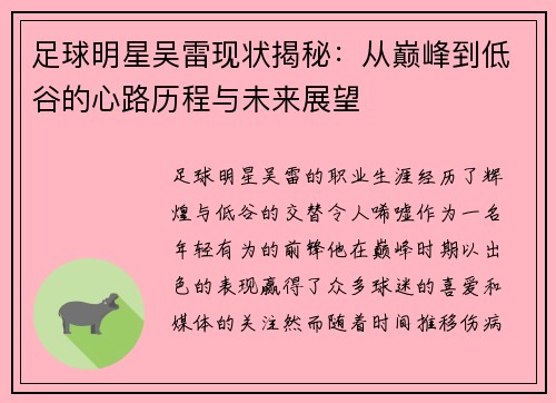 足球明星吴雷现状揭秘：从巅峰到低谷的心路历程与未来展望